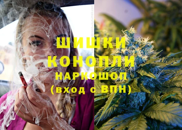 PSILOCYBIN Алексин